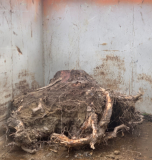 Dank eigenem Containerwagen entsorgen wir alle anfallenden Materialien